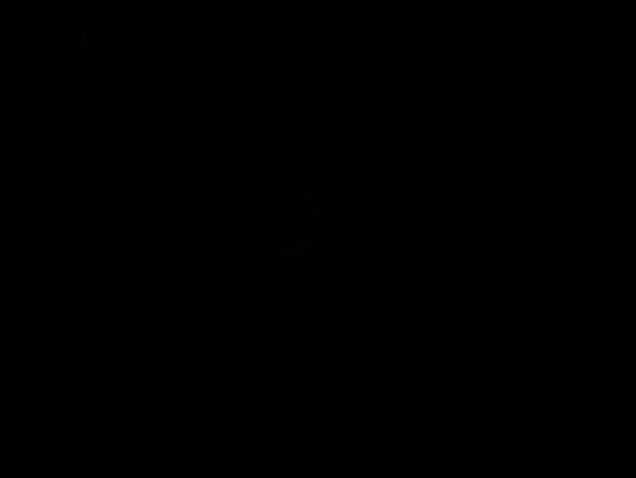 የክብር ቀዳዳዎች